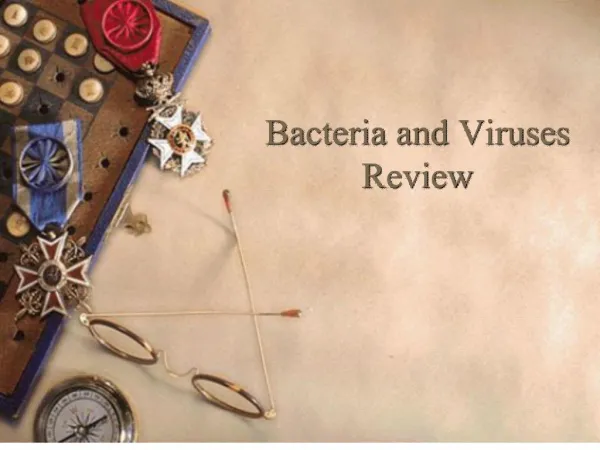 Bacteria and Viruses Review