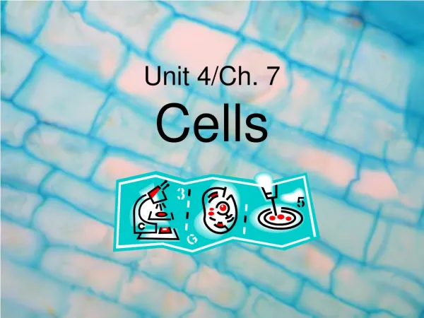 Unit 4/Ch. 7 Cells