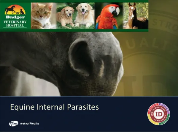 Equine Internal Parasites
