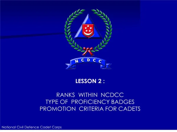 2. Ranking and Proficiency Badges