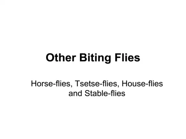Other Biting Flies