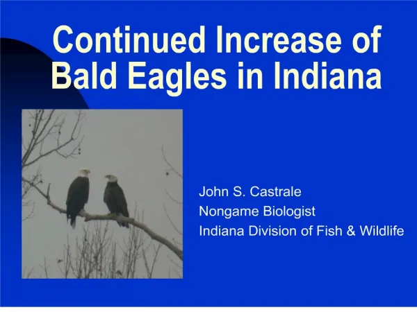 Continued Increase of Bald Eagles in Indiana