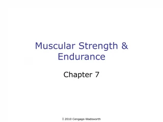 Muscular Strength &amp; Endurance - slide 1