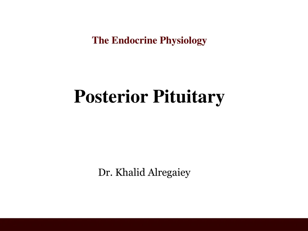 the endocrine physiology posterior pituitary
