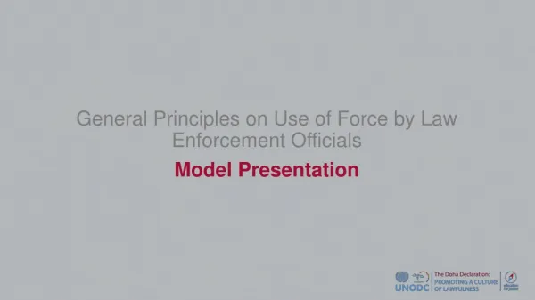 General Principles on Use of Force by Law Enforcement Officials
