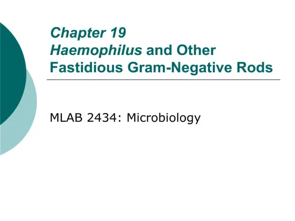Chapter 19 Haemophilus and Other Fastidious Gram-Negative Rods