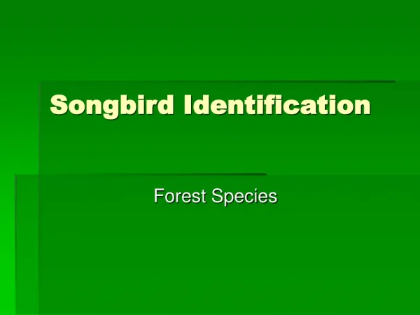 Songbird Identification