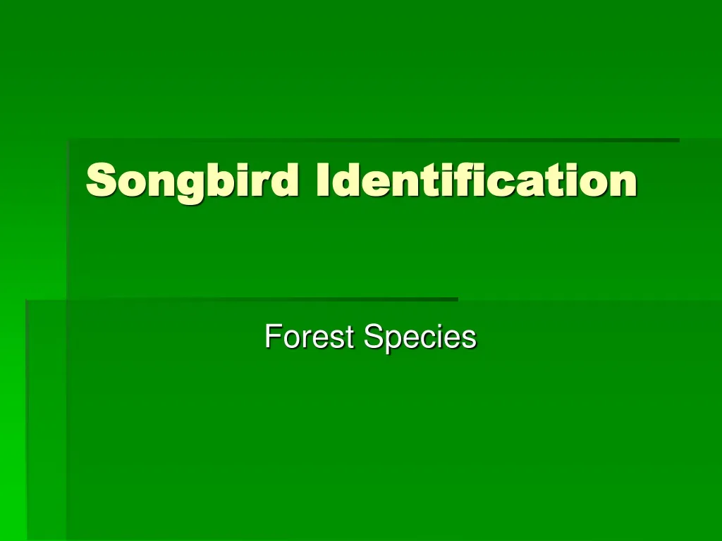 songbird identification