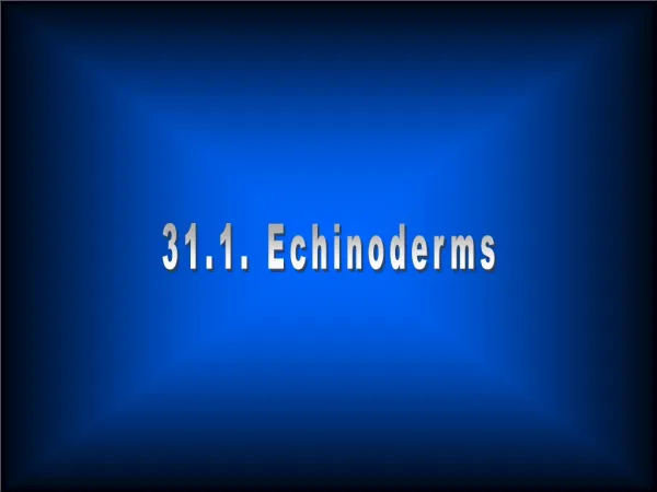 31.1. Echinoderms