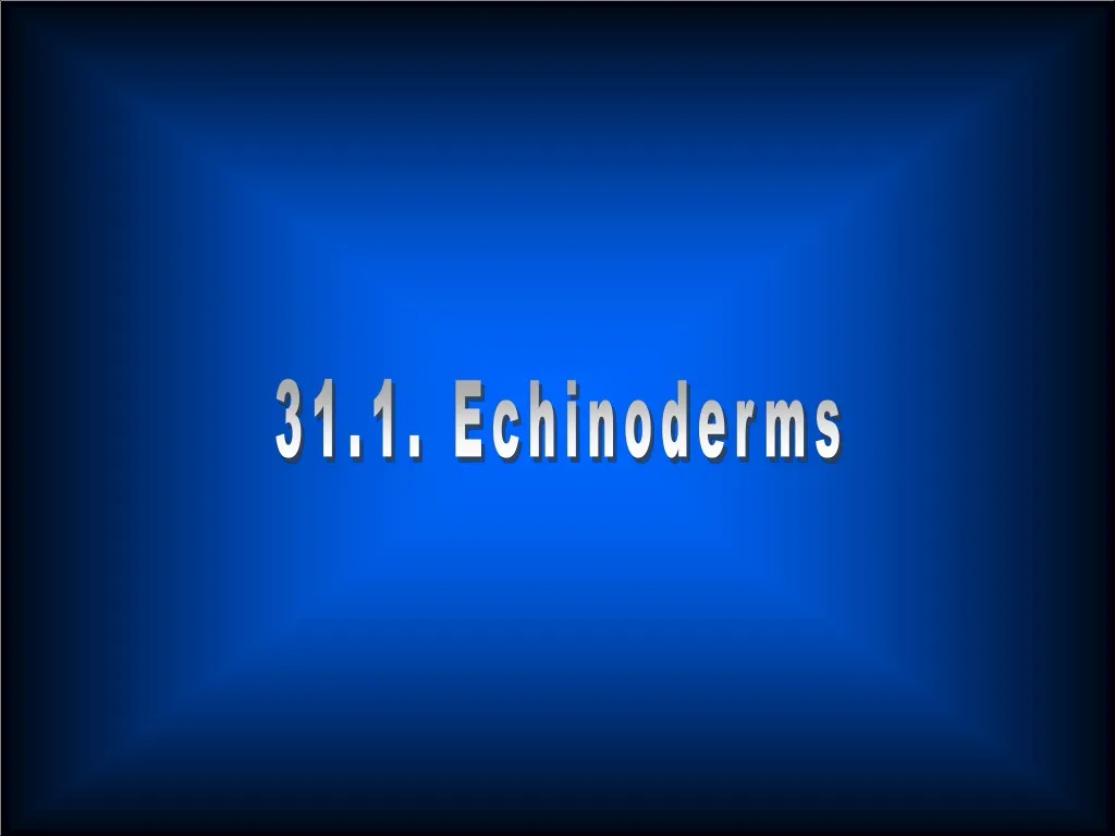 31 1 echinoderms