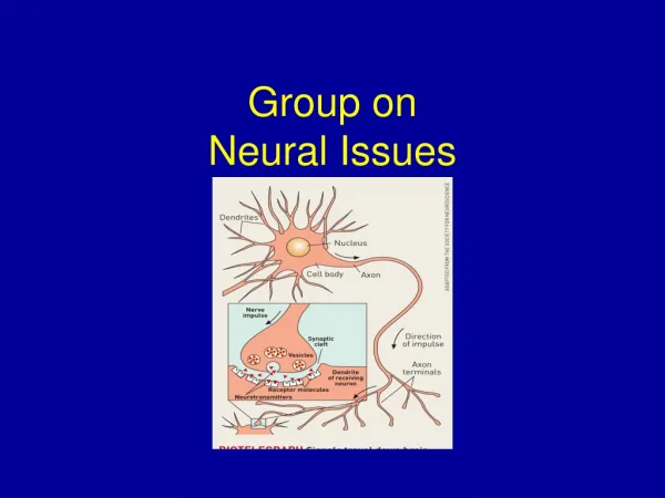 Group on Neural Issues