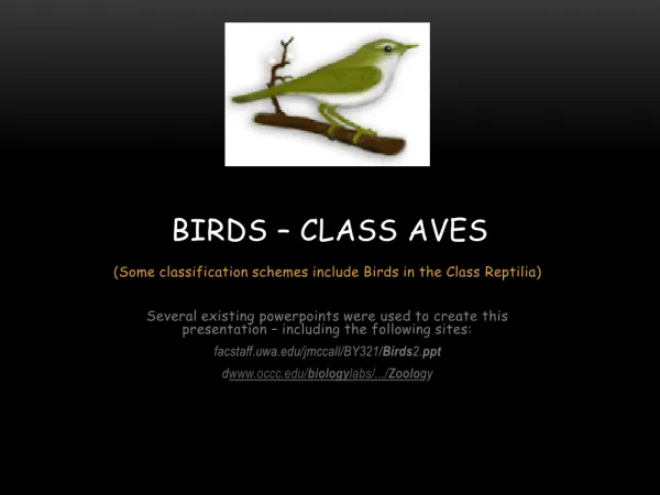 Birds – Class AVES