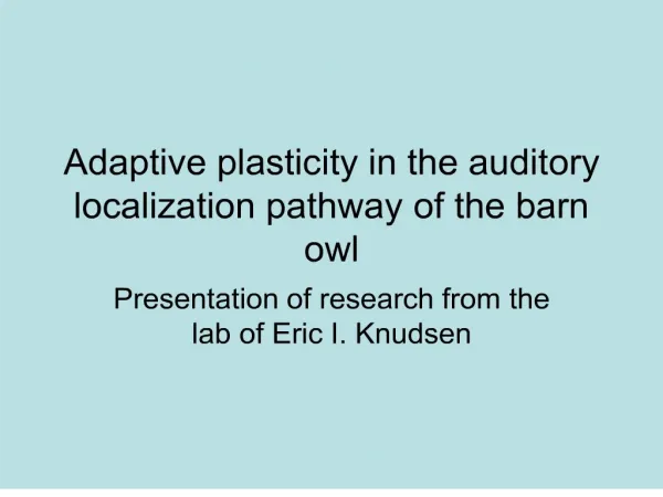 Adaptive plasticity in the auditory localization pathway of the barn owl
