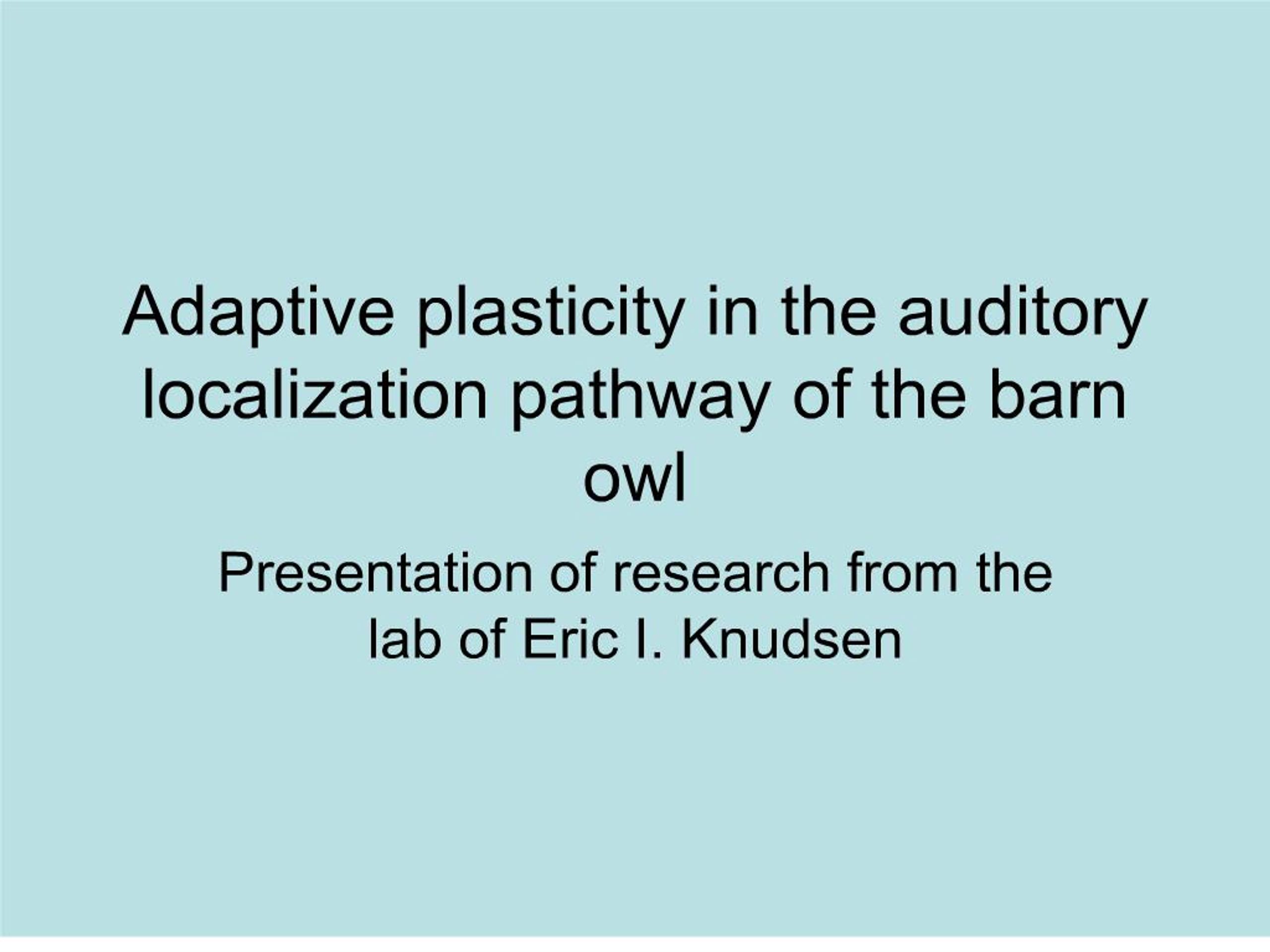 PPT - Adaptive plasticity in the auditory localization pathway of the ...