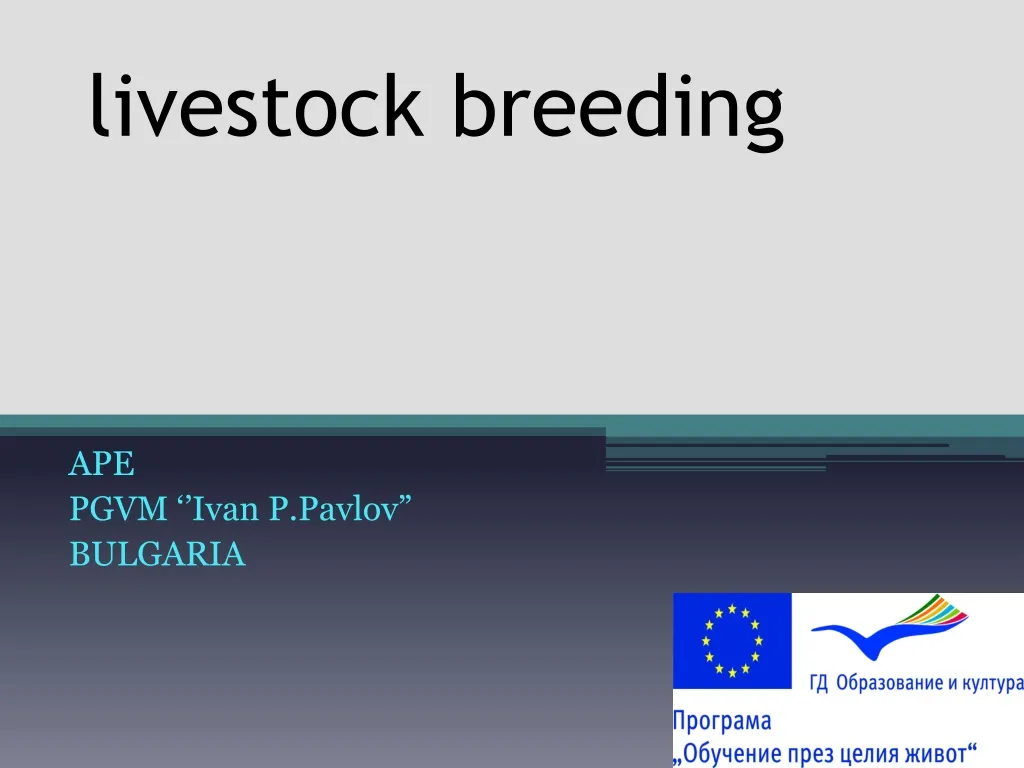 livestock breeding