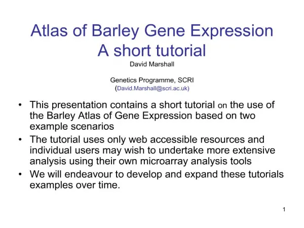 Atlas of Barley Gene Expression A short tutorial David ...