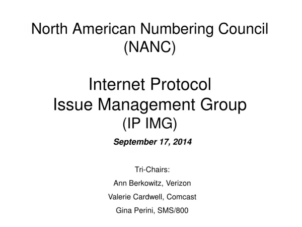 North American Numbering Council (NANC) Internet Protocol Issue Management Group (IP IMG)