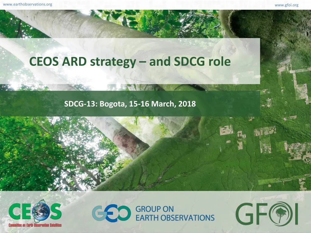 ceos ard strategy and sdcg role