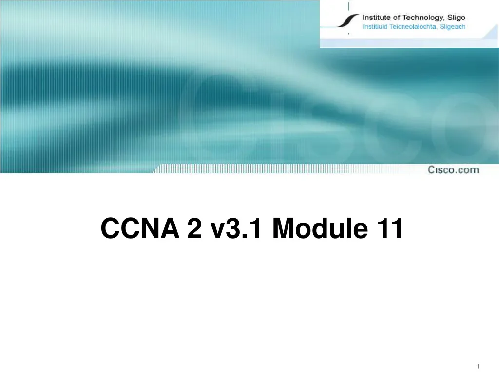 ccna 2 v3 1 module 11