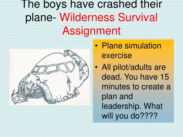 The boys have crashed their plane- Wilderness Survival Assignment