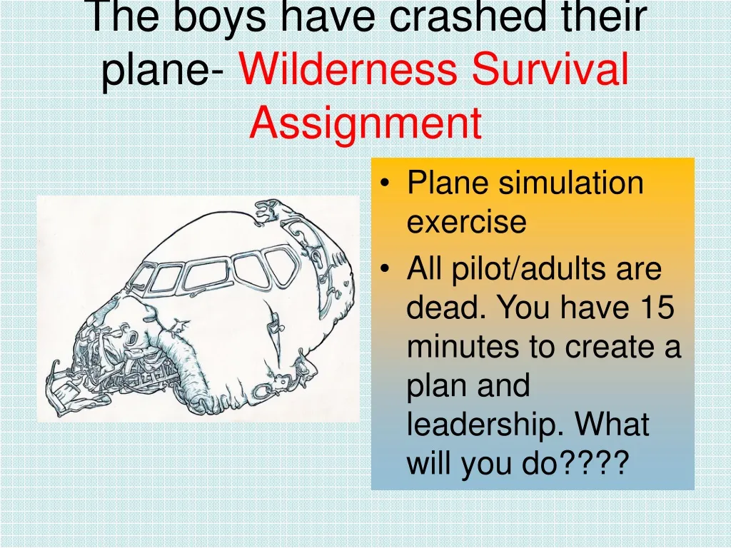 the boys have crashed their plane wilderness survival assignment