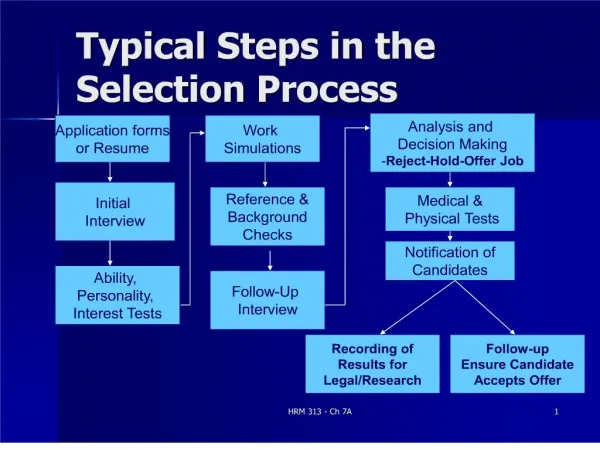 Typical Steps in the Selection Process