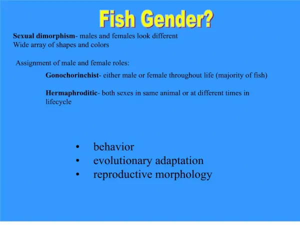 Fish Gender