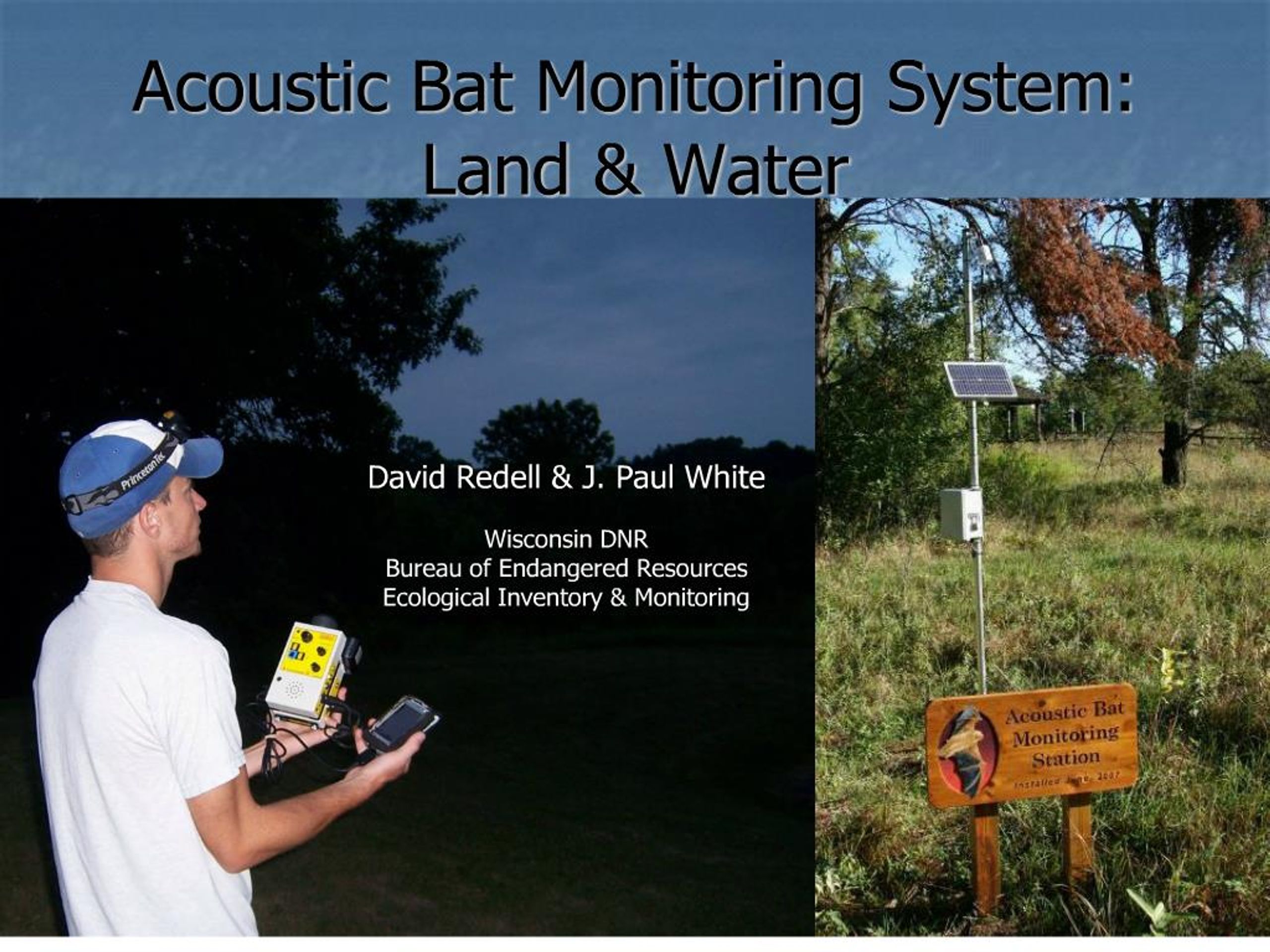 PPT - Acoustic Bat Monitoring System: Land Water PowerPoint ...