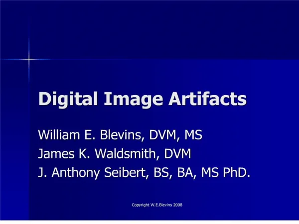 Digital Image Artifacts