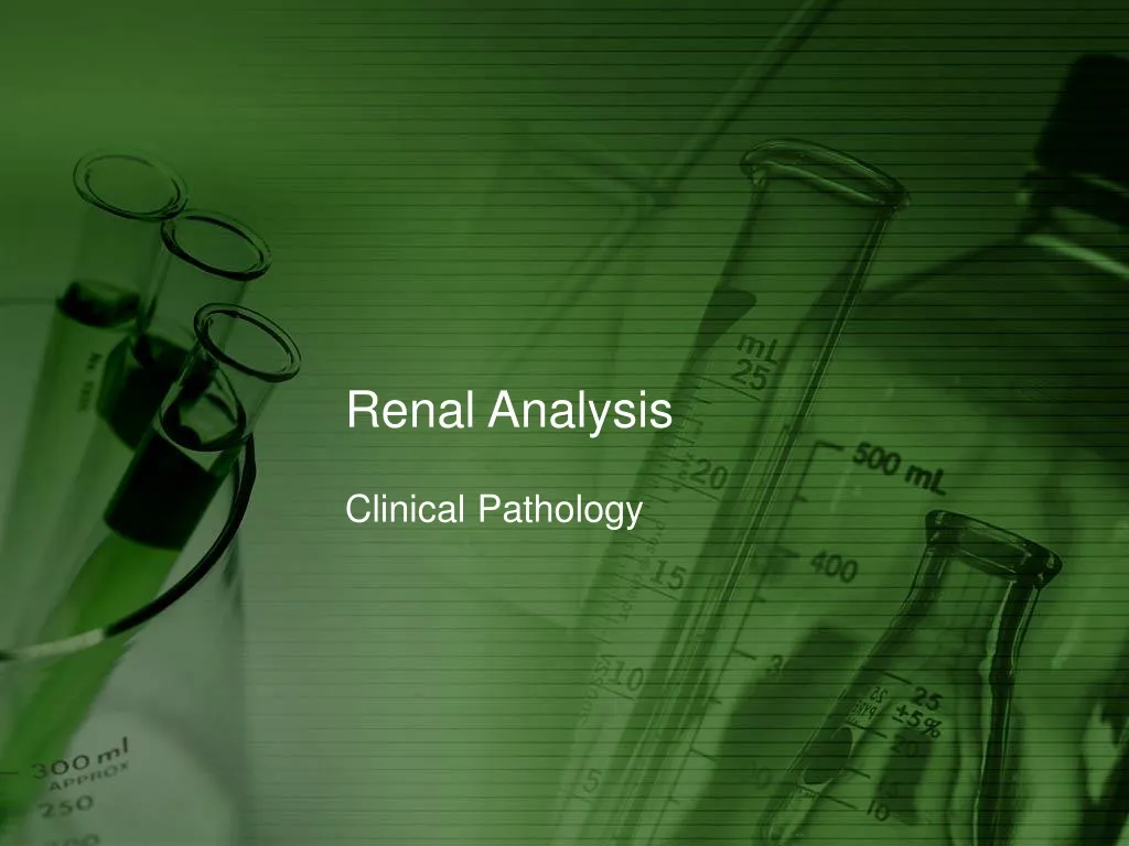 renal analysis