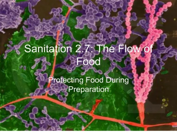 Sanitation 2.7: The Flow of Food