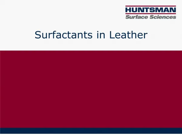 Surfactants in Leather