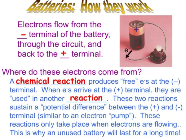 Electrons flow from the __ terminal of the battery, through the circuit, and back to the __ terminal.