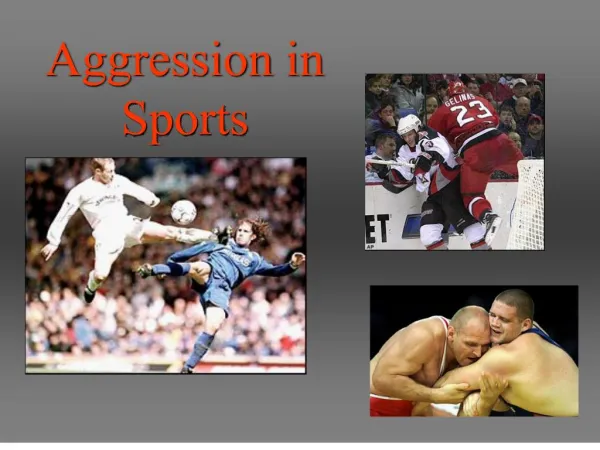 Aggression in Sports