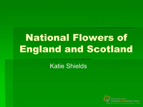 National Flowers of England and Scotland