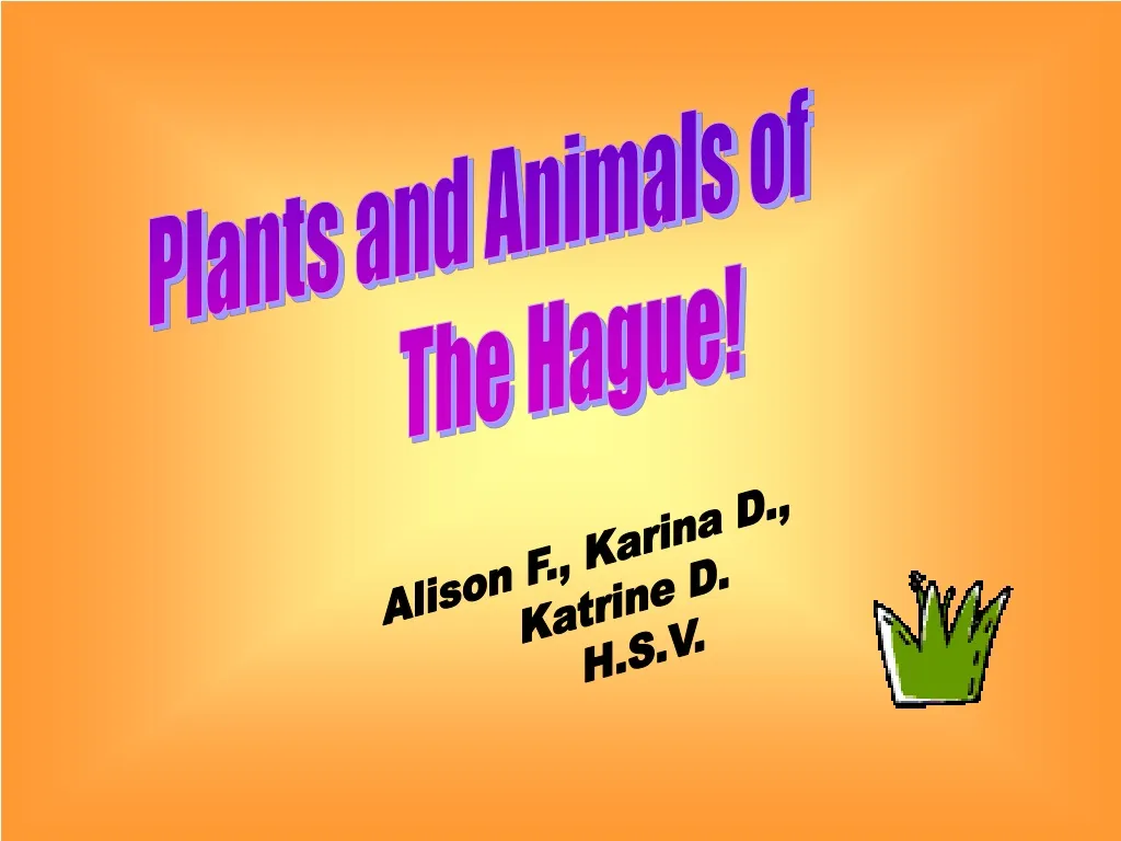 plants and animals of the hague