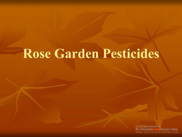 Rose Garden Pesticides