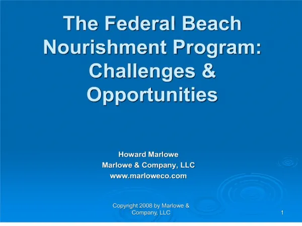 The Federal Beach Nourishment Program