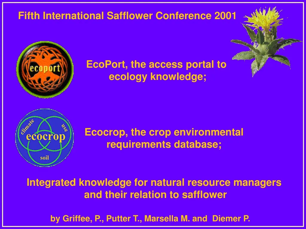 fifth international safflower conference 2001