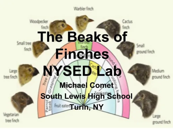 The Beaks of Finches NYSED Lab