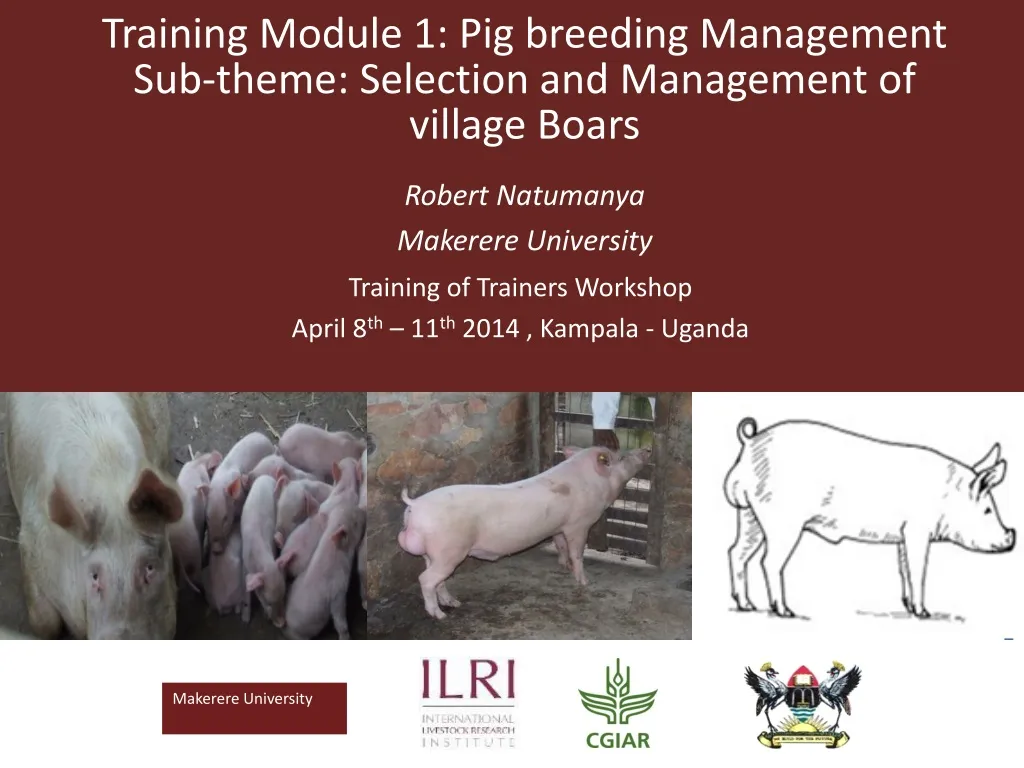 training module 1 pig breeding management