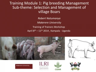 Makerere University Logo - slide 1