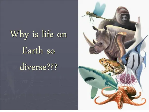 Why is life on Earth so diverse