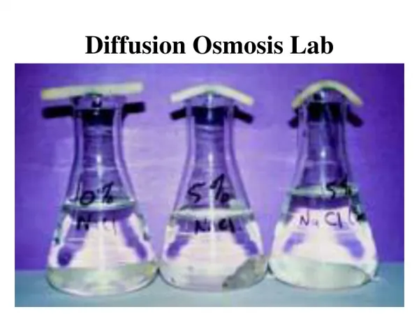 Diffusion Osmosis Lab
