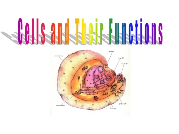 Cells and Their Functions