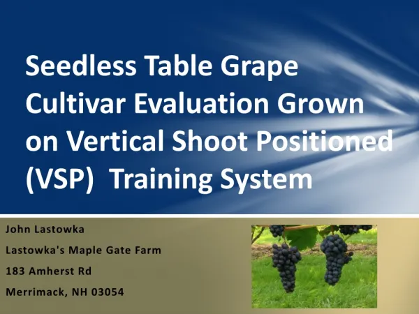 Seedless Table Grape Cultivar Evaluation Grown on Vertical Shoot Positioned (VSP) Training System