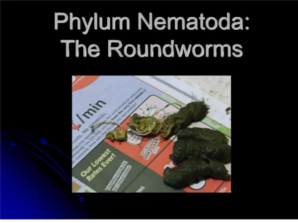 Phylum Nematoda: The Roundworms