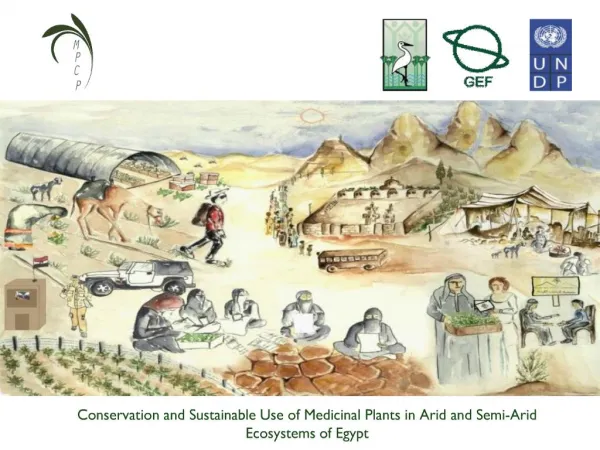 Conservation and Sustainable Use of Medicinal Plants in Arid and Semi-Arid Ecosystems of Egypt