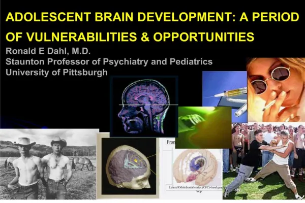 ADOLESCENT BRAIN DEVELOPMENT: A PERIOD OF VULNERABILITIES OPPORTUNITIES Ronald E Dahl, M.D. Staunton Professor of Psyc