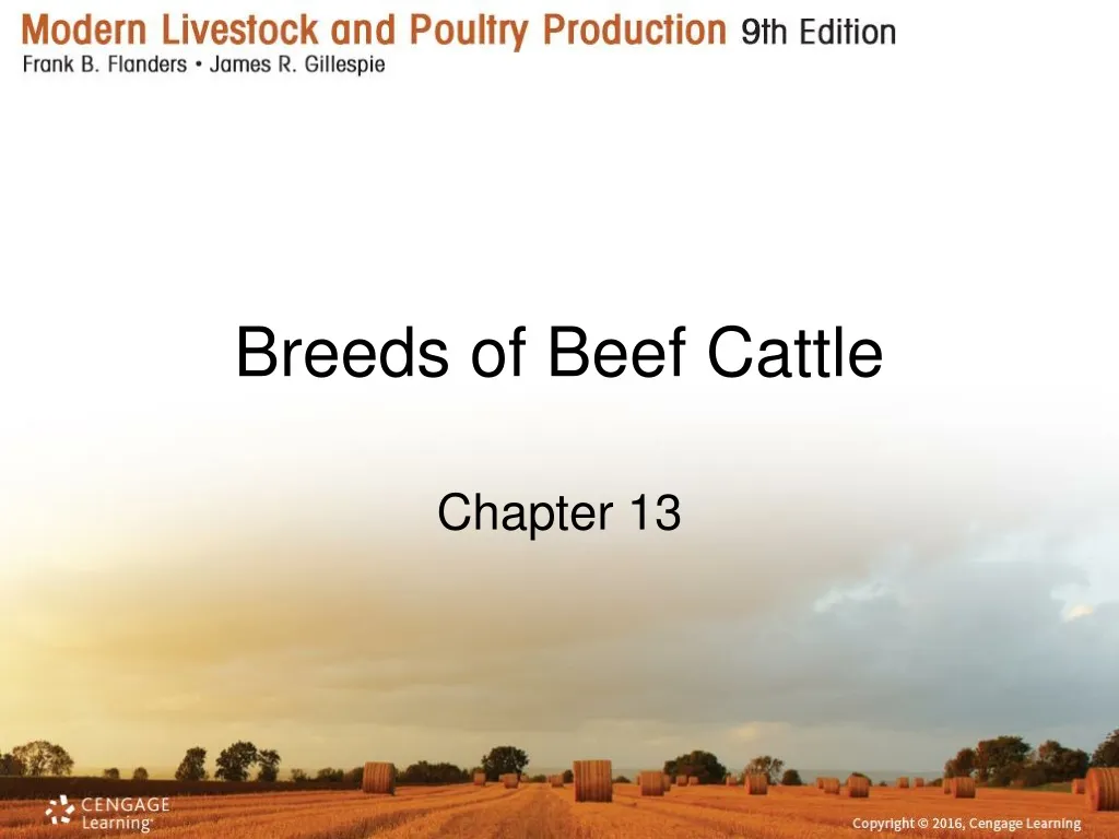 breeds of beef cattle